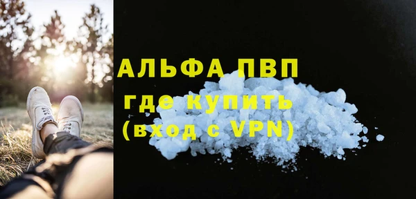 стафф Корсаков