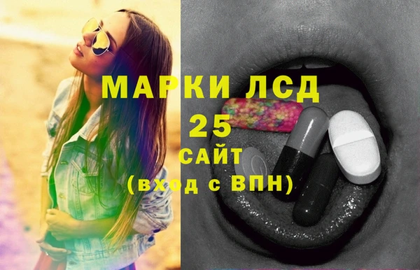 стафф Корсаков