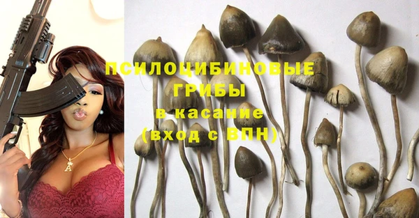ГАЛЛЮЦИНОГЕННЫЕ ГРИБЫ Михайлов